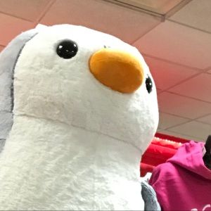 Meet your Posher, Bri